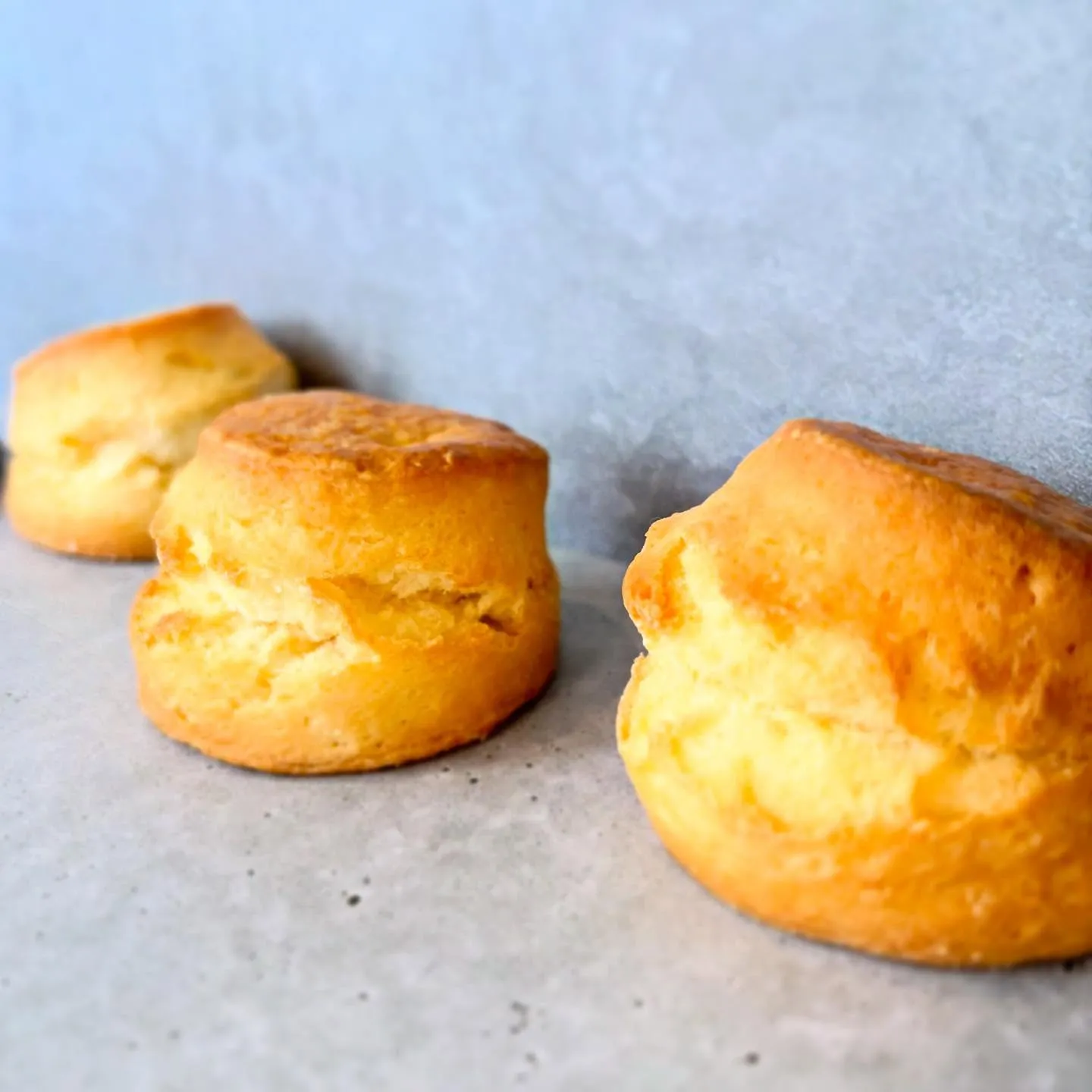 福岡　薬院カフェ